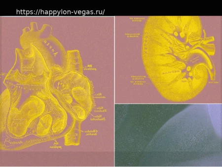 Стартап R3 Bio: Революция в Тестировании Без Животных с Помощью Искусственных Органных Систем