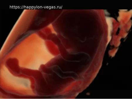 Потребление ультраобработанных продуктов связано со снижением мужской фертильности и ухудшением развития эмбриона