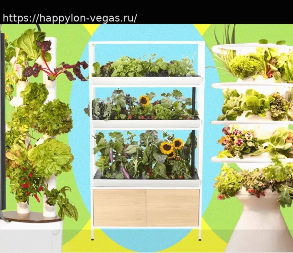 Лучшие системы для домашнего сада: Наши обзоры и рекомендации 2026 года