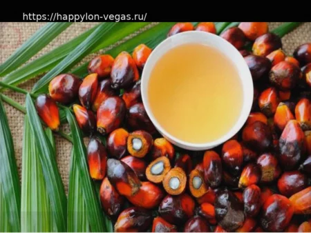 Жиры пальмового масла способствуют развитию рака, подавляя противоопухолевый иммунитет