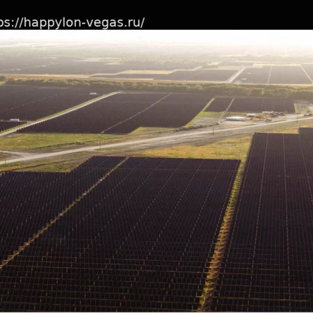 Wealthy Investors Target Foes of Clean Energy, Seeking Revenge