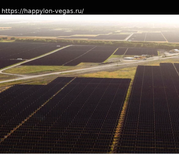 Wealthy Investors Target Foes of Clean Energy, Seeking Revenge