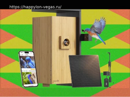 Умные кормушки для птиц: советы по выбору и функции