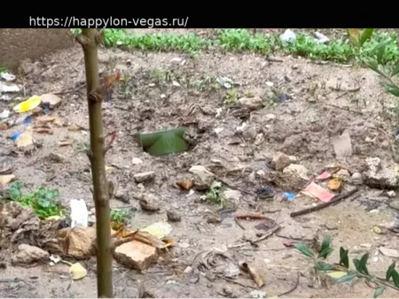 В иранском поселении обнаружены противотанковые мины США