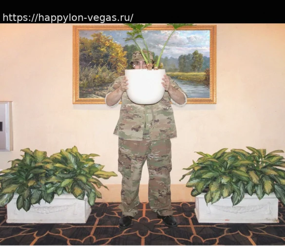 MultiCam: Как американский камуфляж завоевал мир, несмотря на армейский отказ