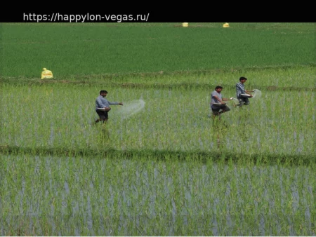 Влияние Войны на Супермаркеты Индии