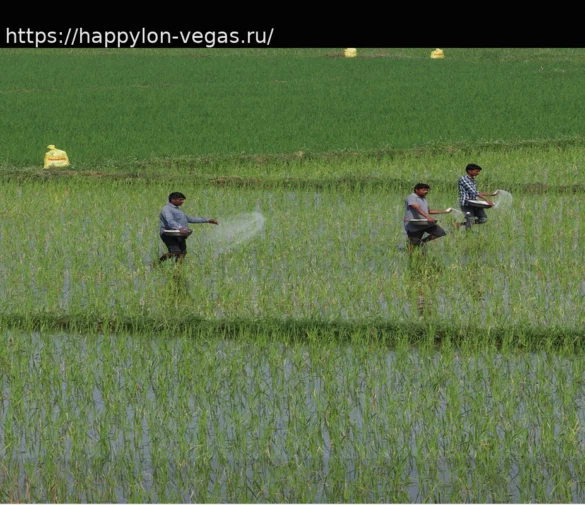 Влияние Войны на Супермаркеты Индии