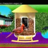 Умные кормушки для птиц: о которых все говорят (и покупают) (2026)