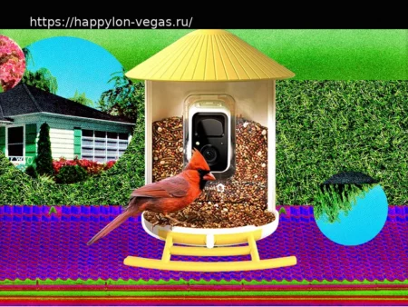 Умные кормушки для птиц: о которых все говорят (и покупают) (2026)