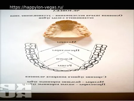 Судебно-медицинская экспертиза по останкам зубов: как зубы сохраняют информацию о человеке и помогают следствию
