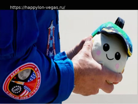 Rise, маленький плюшевый талисман, представляющий человечество на пути к Луне