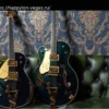 Gretsch Limited Edition 1958 Custom: Роскошные версии Penguin и Falcon