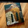 Buchtipp: „Sandberg: The Face of Bass“ – 40 Jahre Bassbau-Leidenschaft