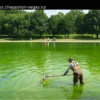 Even the Internet’s Favorite Pool Guy Doesn’t Know How to Fix the Reflecting Pool