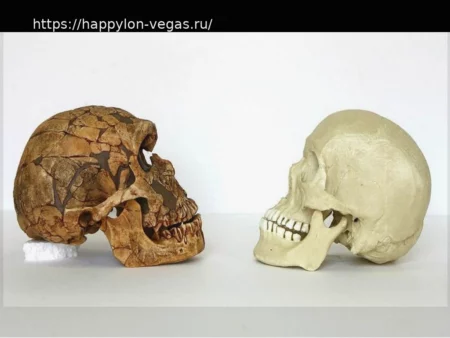 El ADN de los últimos neandertales cuestiona la idea de una especie condenada por la endogamia